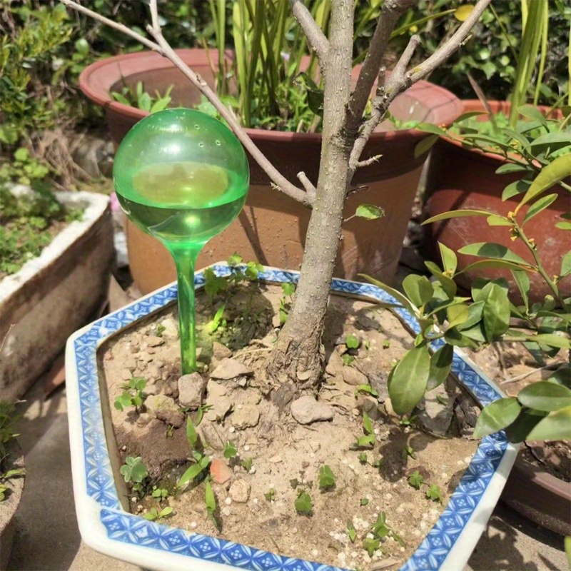ลูกบอลรดน้ำต้นไม้ในร่ม 6 ชิ้น  - Smart Garden Sprinkler System บทวิจารณ์และราคา